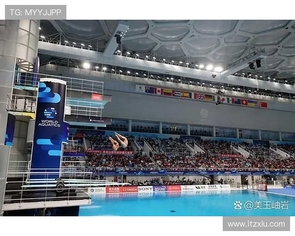 世界杯决赛门票暴涨十倍法国球迷观赛成本激增难以承受